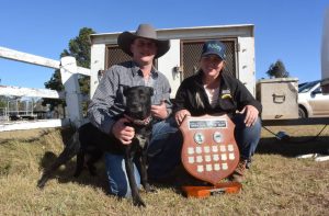 Working Dog Competition Hunter Valley