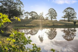 Spring is the Selling Season in the Hunter Valley
